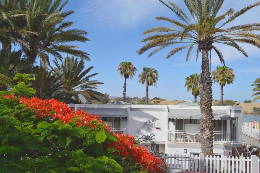 Apartamentos Dunaoasis Maspalomas Маспаломас Экстерьер фото
